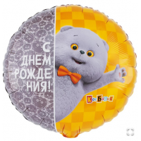  К 18" РУС ДР Кот Басик